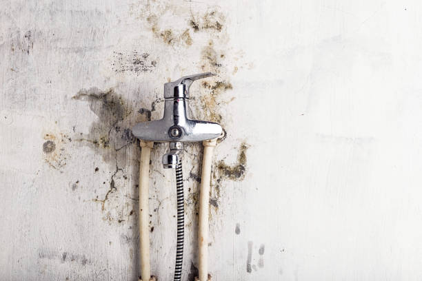Best Commercial Mold Removal  in Portage Lakes, OH