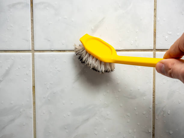 Best Water Damage Restoration  in Portage Lakes, OH