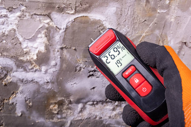 Best Toxic Mold Removal  in Portage Lakes, OH