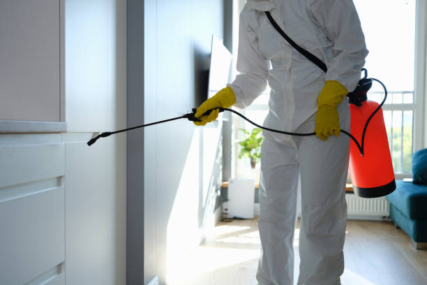 Best Mold Damage Repair  in Portage Lakes, OH