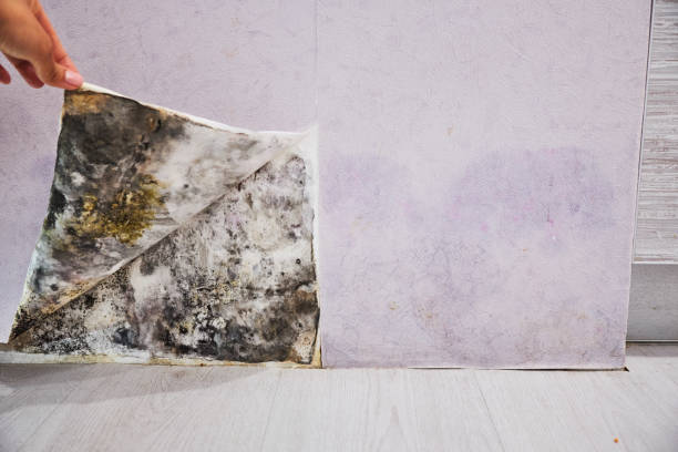 Water Damage Restoration in Portage Lakes, OH